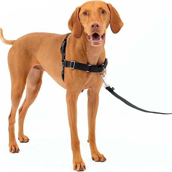 PetSafe~ Easy Walk No-Pull Dog Harness- Helps Prevent Pulling on Walks- MED- BLK - Picture 9 of 14